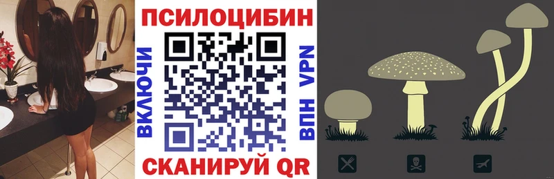 Псилоцибиновые грибы ЛСД  ОМГ ОМГ маркетплейс  Электросталь  купить наркотики сайты 
